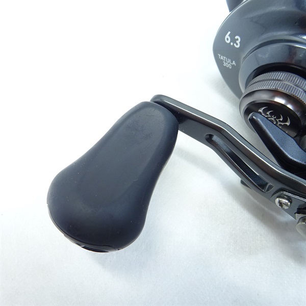 ２１タトゥーラＴＷ３００ 右